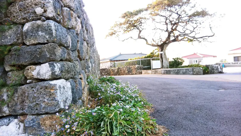 [제주 한경] 조용한 돌담집 투룸 독채 57