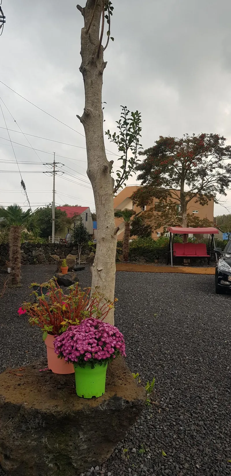 [Seongsan, Seogwipo] Two-room detached house with a large yard full of palm trees #BBQ 34