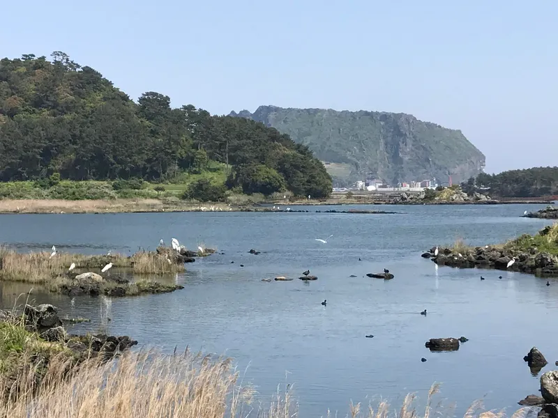 [서귀포 성산] 제주도 제일풍광속 제주살이 #202호 12