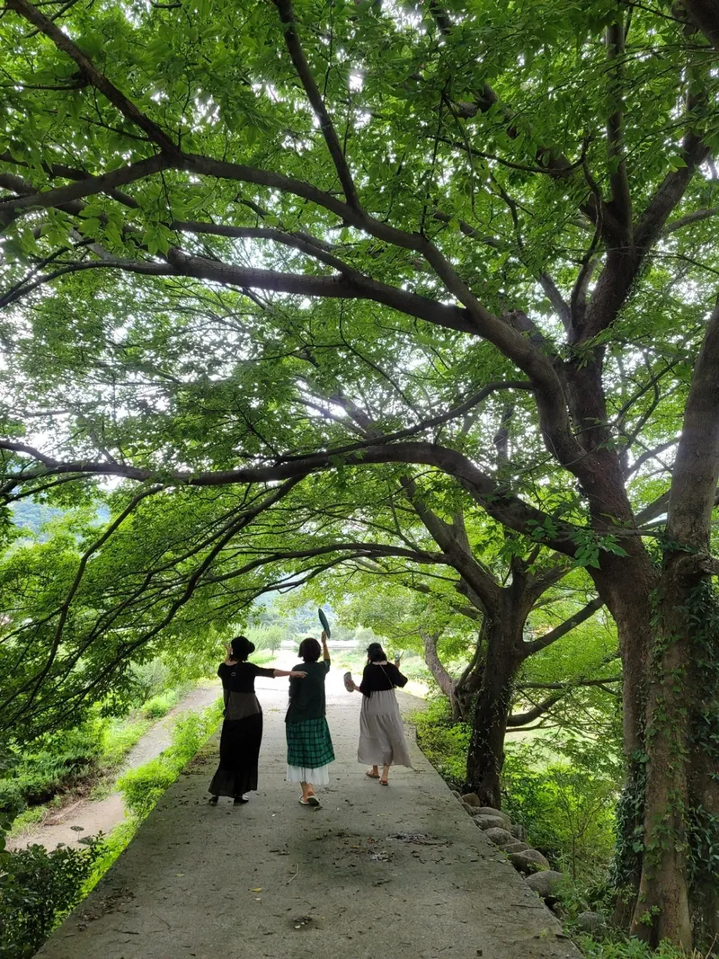[Gwangyang][Hadong & Gurye Trip] Plum Blossom Village/Relaxing Hadong♡Country House on the Hill #Seomjin River View 16