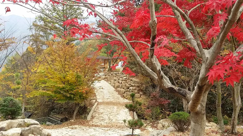 [Sancheong] Jirisan Hanok-style Minbak Pension 35