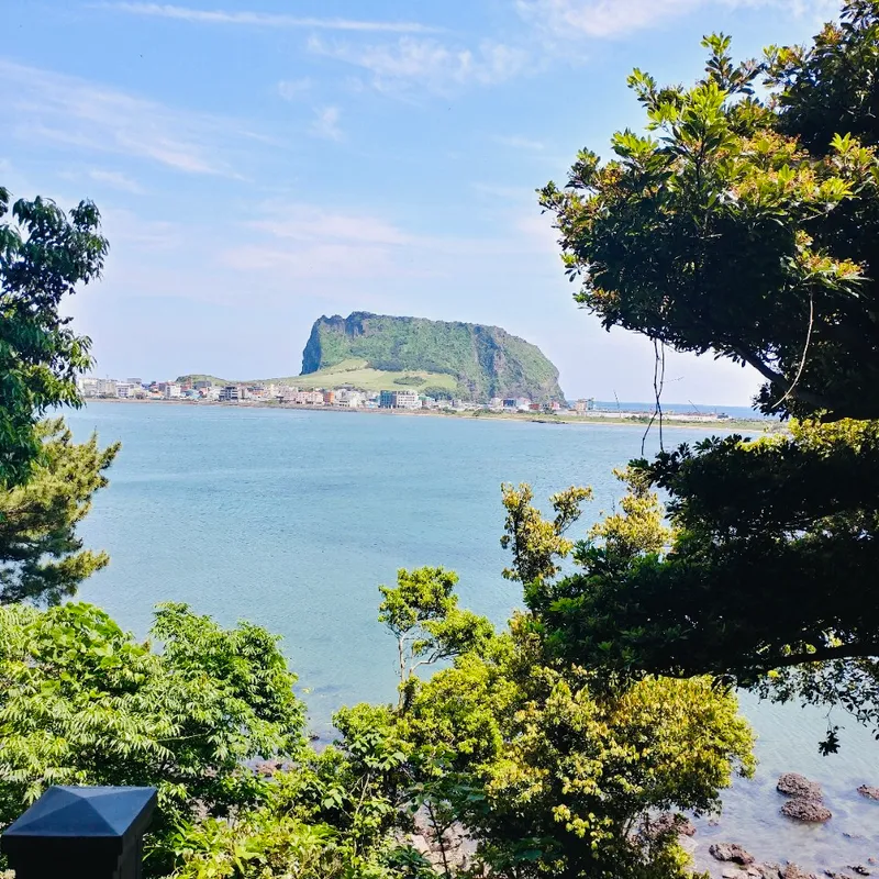 [Seongsan, Seogwipo] View #302 with ocean view and Seongsan Sunrise Peak 16