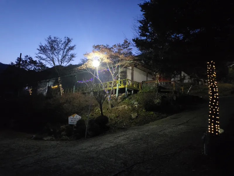[경기 가평] 잣나무 숲속 도심속에 오지_원룸3호 #반려동물동반 28