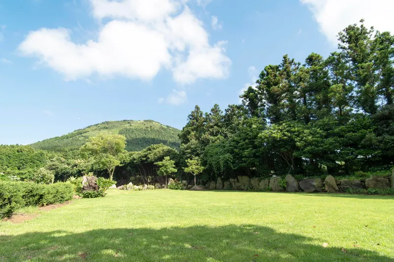 [Gujwa, Jeju] A healing space in nature with a view of Darangshi Oreum near Bijarim B 10