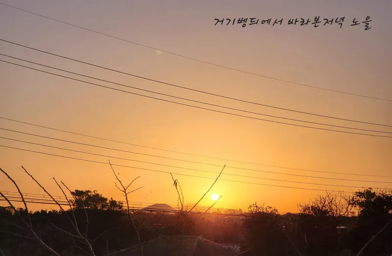 [Gujwa, Jeju] Pyeongdae Sea, Oreum View Spacious One Room Stay #101 12