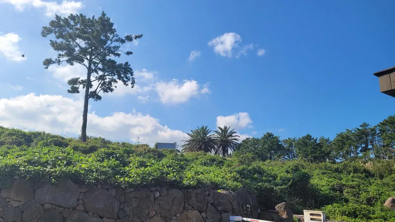 [제주 애월] 테라스와 정원이 있는 복층형 원룸: 해바라기하우스 43