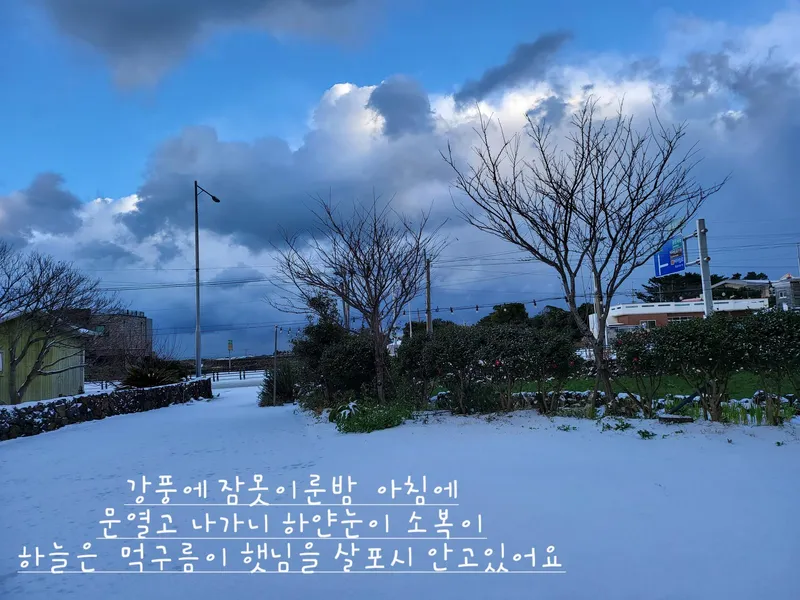 [Gujwa, Jeju] Pyeongdae Sea View Oreum View One Room Stay #201 24