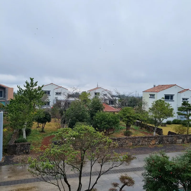 [Gujwa, Jeju] A detached house with a large stone wall and yard (Rosemary) 6