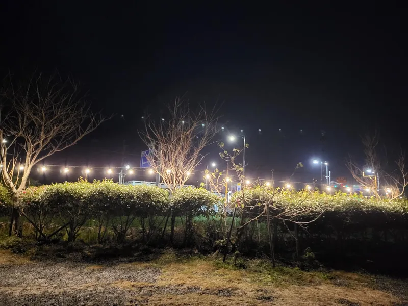 [Gujwa, Jeju] Pyeongdae Sea View Oreum View One Room Stay #201 25