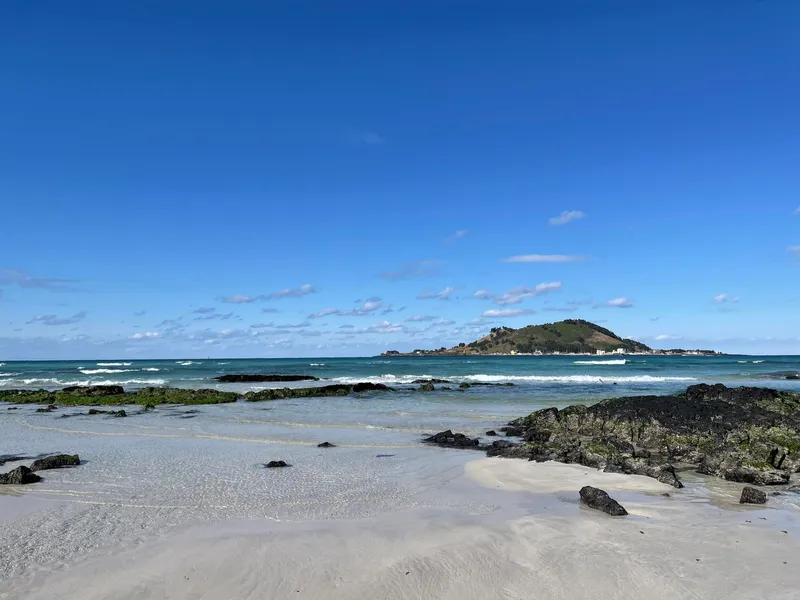 [Hallim, Jeju] A stylish private house within walking distance of Hyeopjae Beach that combines work and relaxation 76