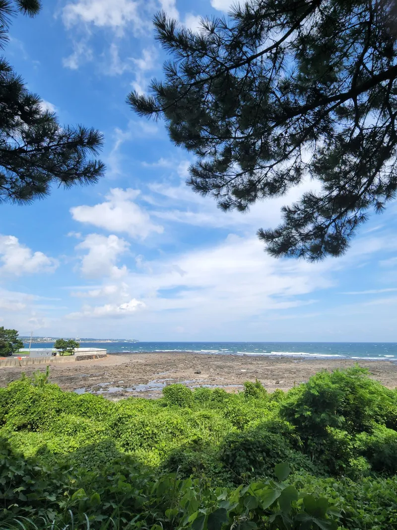 [Namwon, Seogwipo] Ocean View Two Room Cypress Tree Geomunoreum A 17