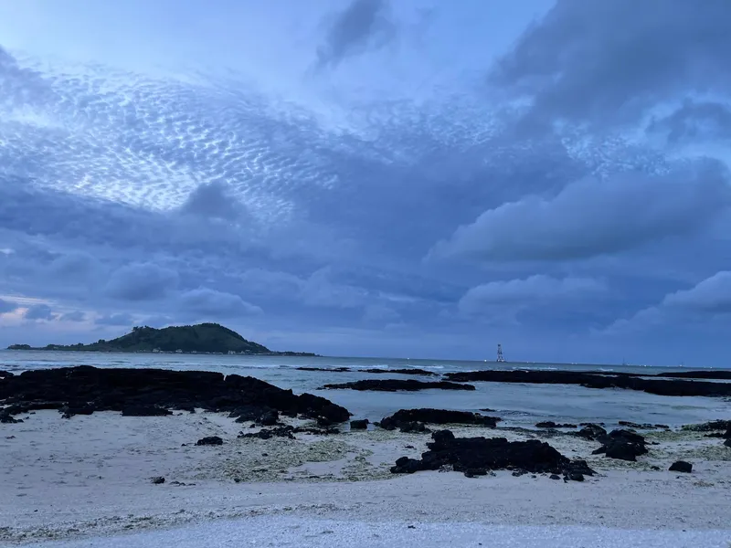[Hallim, Jeju] A stylish private house within walking distance of Hyeopjae Beach that combines work and relaxation 75