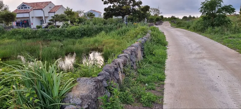 [Gujwa, Jeju] A detached house with a large stone wall and yard (Rosemary) 17
