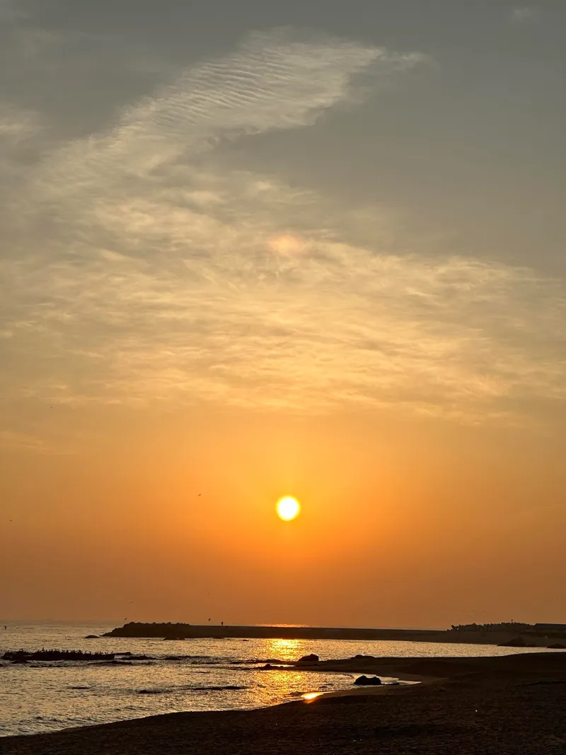 [강원 강릉] 영진해변 18층 오션뷰 바다가좋아 19