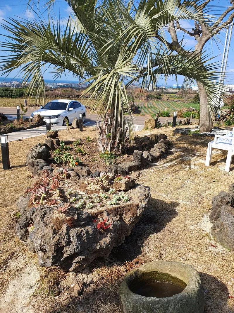 [Hallim, Jeju] Ocean view newly built duplex 3-room independent house C building 107