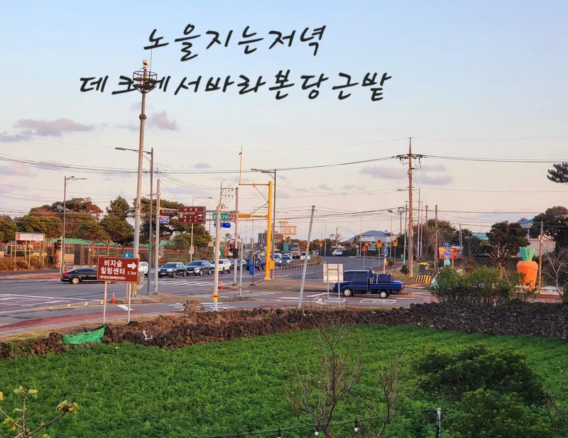[Gujwa, Jeju] One-room stay (16 pyeong) in a quiet village with a view of the sea in Pyeongdae #102 44