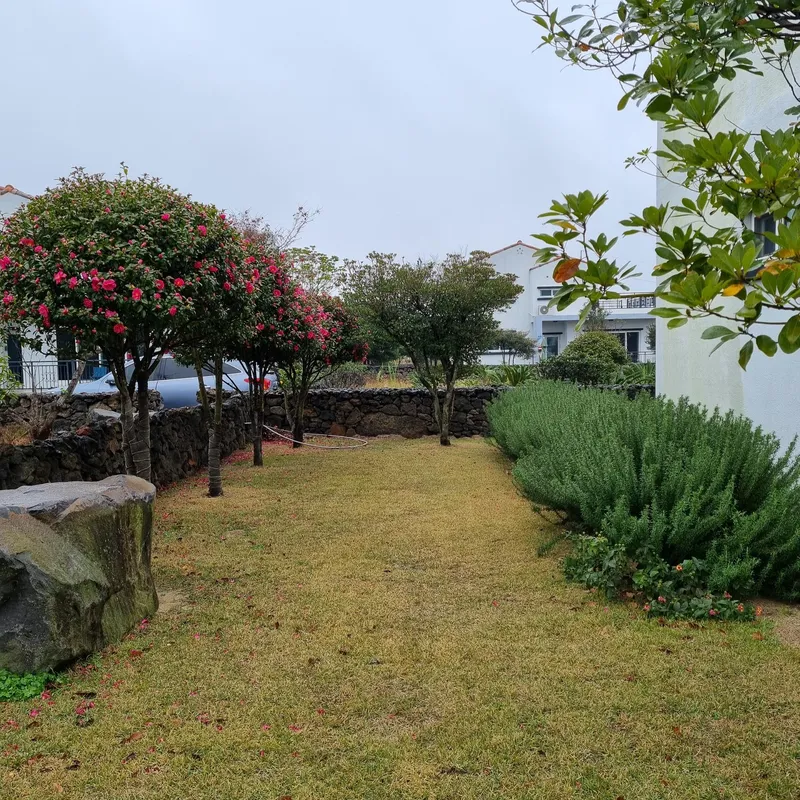 [Gujwa, Jeju] A detached house with a large stone wall and yard (Rosemary) 10