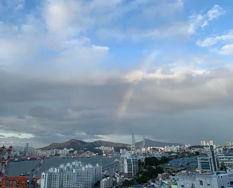 [부산 영도] 북항파노라마뷰 단독주택 7