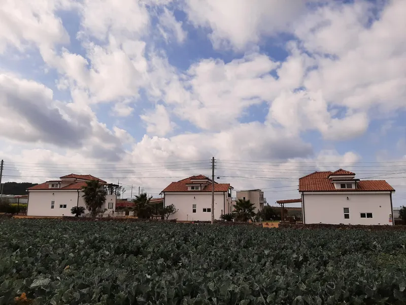 [Hangyeong, Jeju] West duplex independent house 5