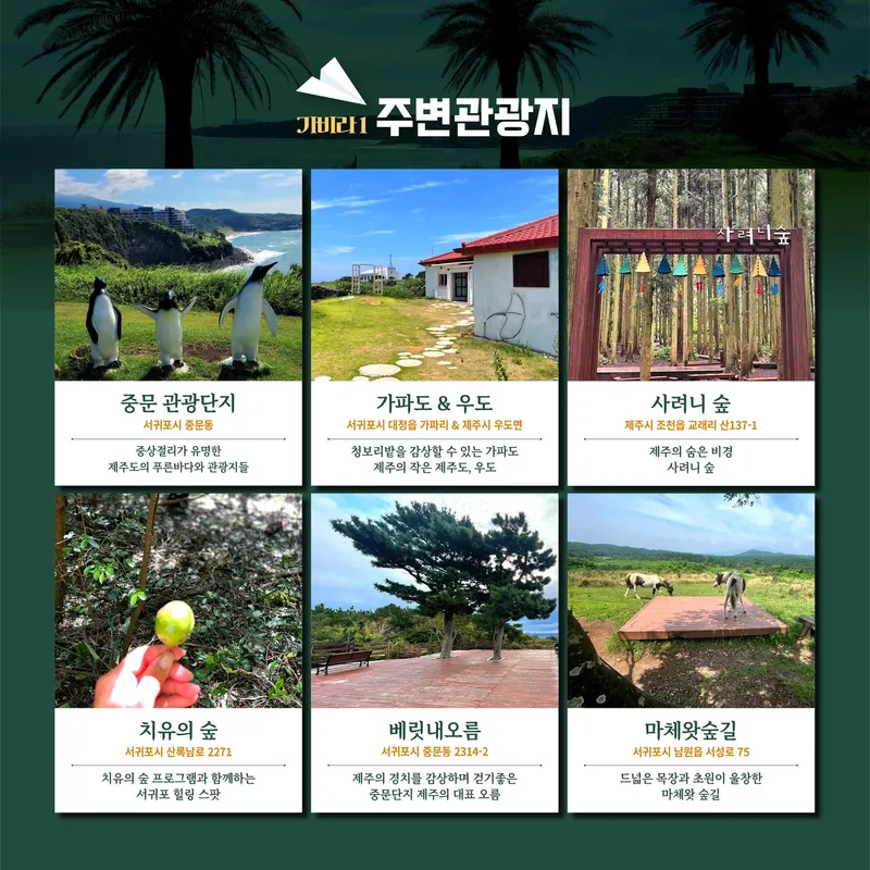 [Jungmun-dong, Seogwipo] Jeju Gallery STENDHAL #Jungmun #Ocean view #Oreum view #Tangerine field view 34