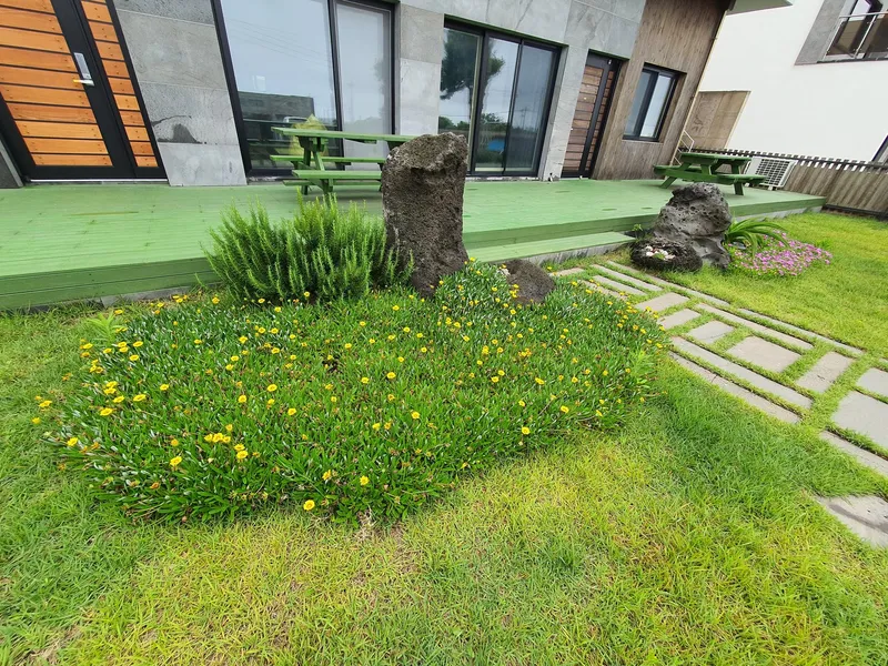 [Pyoseon, Seogwipo][Seogwipo Pyoseon] Neulbom House 1st Floor Two-Room Short-term Rental/Living Unit 101 #PetFriendly 5