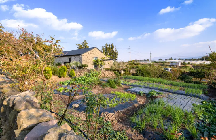 [제주 애월] Patio애월 오름이 있는 프리미엄 독채 30