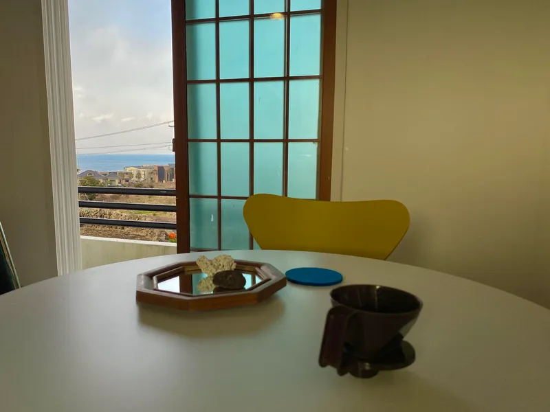 [제주 조천] 완전 #오션뷰#편의시설 #한라산뷰#반려동물가능 14