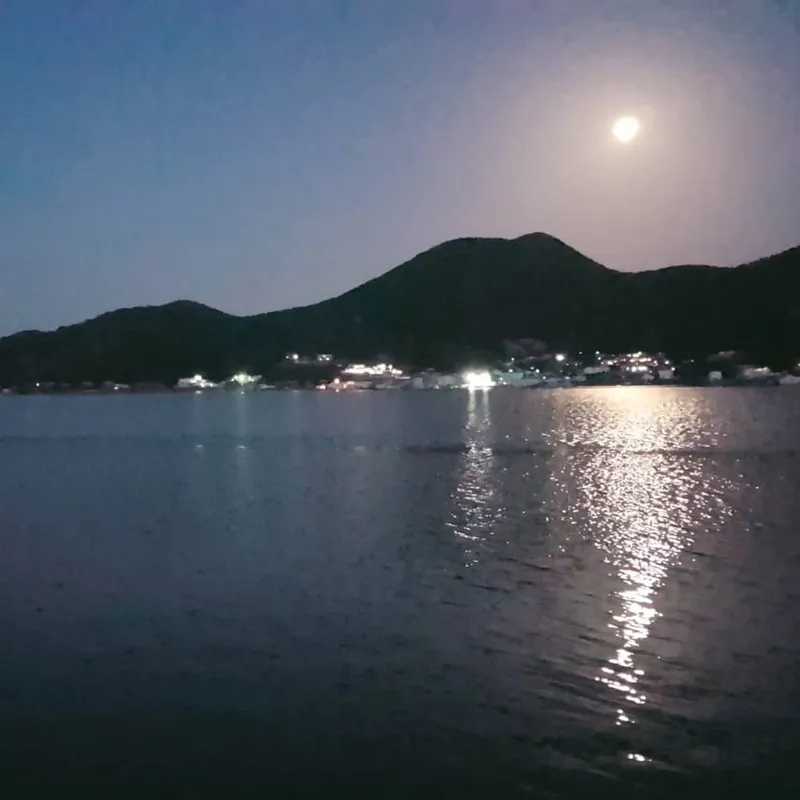 [경남 통영] 통영별장BLUE 신도시의 편리함과 해안로 5 25