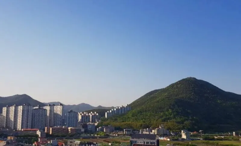 [경남 거제] 푸른소나무와 야외 테라스 넓은 마당을 겸비한 복층 전원주택 35
