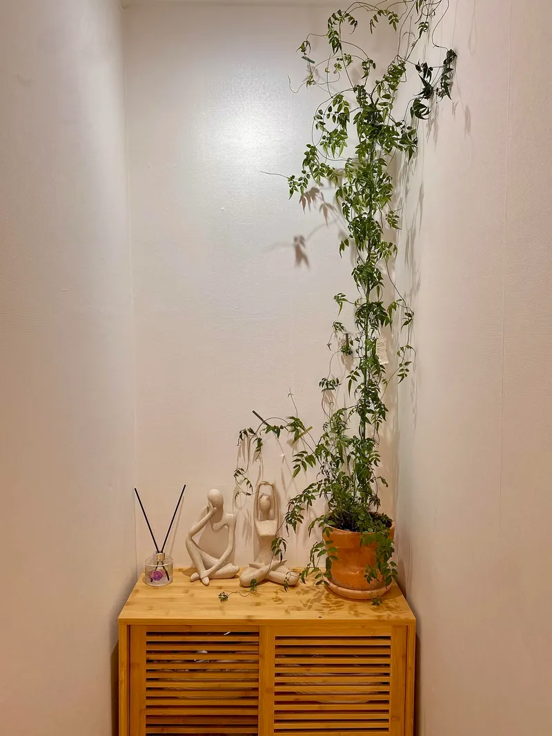 [Jocheon, Jeju][Jeju Jocheon Sinheung-ri] Single-story two-room house, 2 minutes walk to the sea #Inside the village 10