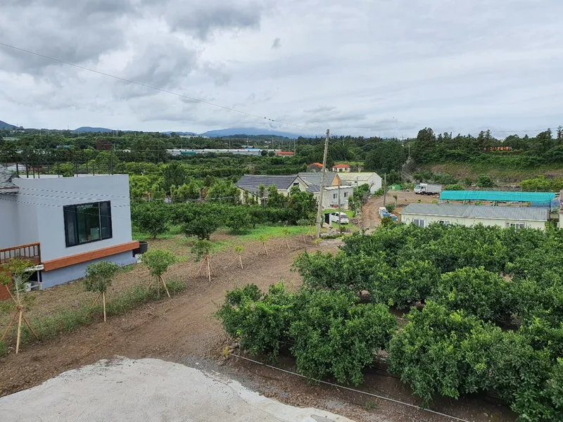 [제주 조천] 1만평 감귤정원 속 한라산을 품은 제주 힐링 2층 투룸 87