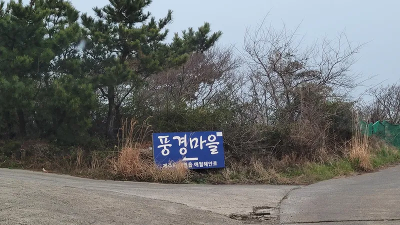 [제주 애월] 해안 절경 오션뷰 한라산 뷰 층고 높고 넓은 옥상뷰 복층 56