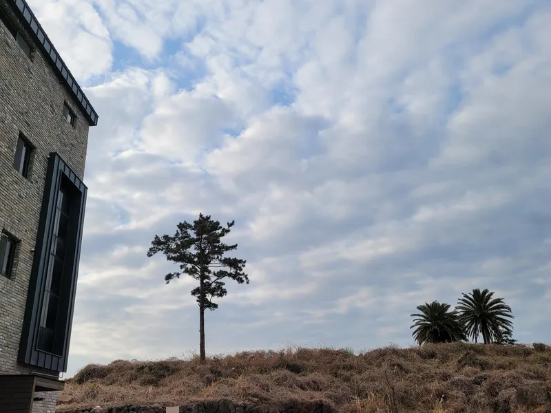 [제주 애월] 해안 절경 오션뷰 한라산 뷰 층고 높고 넓은 옥상뷰 복층 11