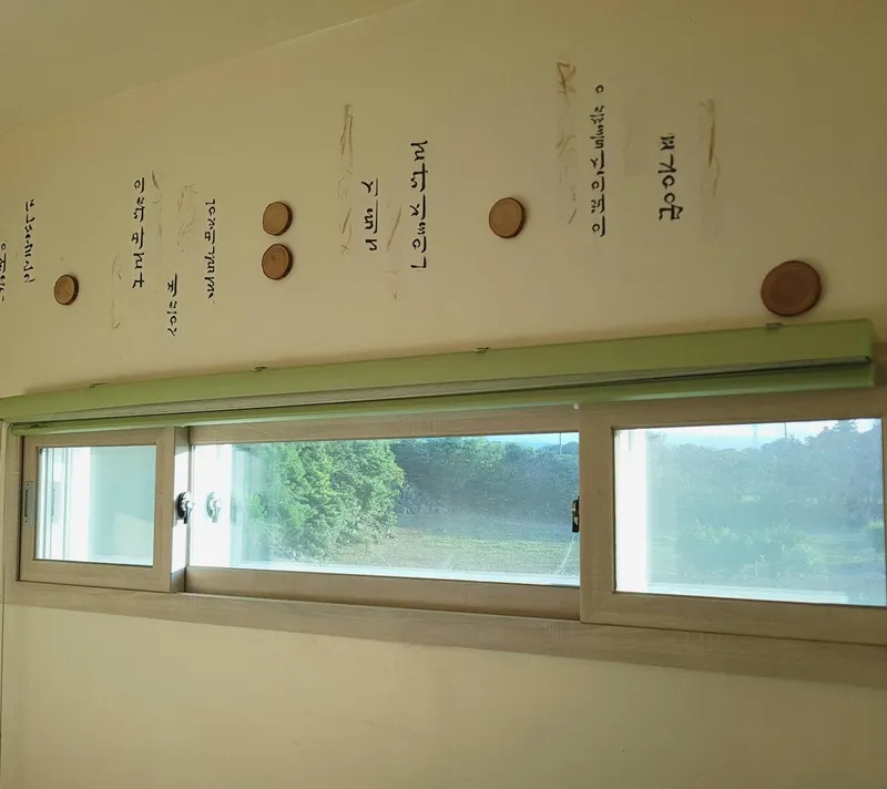 [제주 조천] 자연속의 마당있는 미술전시관 투룸 황금향방 #가성비 12