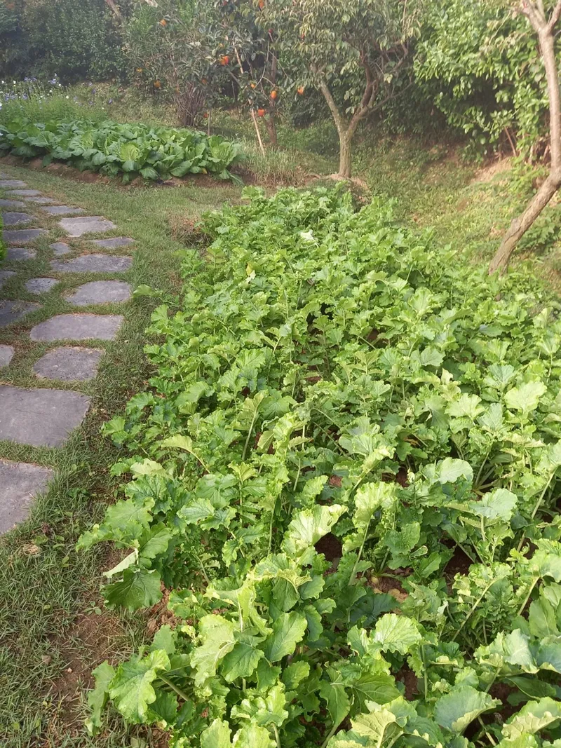 [전남 구례] 노고단이 바라 보이는 황토방까지 사용가능한 전원주택 30