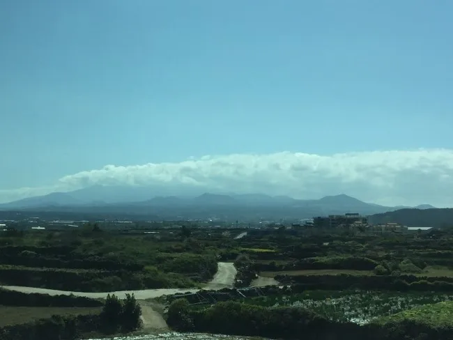 [제주 한림] 바다와 한라산을 한곳에서 : 포근한 제주_ 19평 1.5룸 23