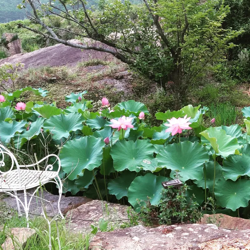 [Hadong] A love room made of yellow clay, reminiscent of a rural maternal home 9