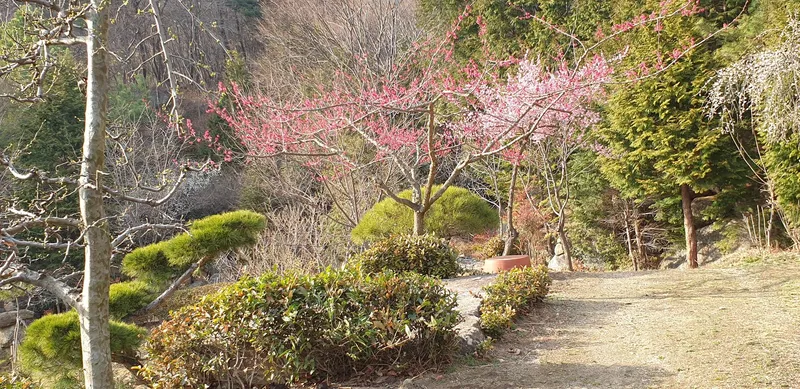 [경남 하동] 정원이 아름다운 소나무방 18