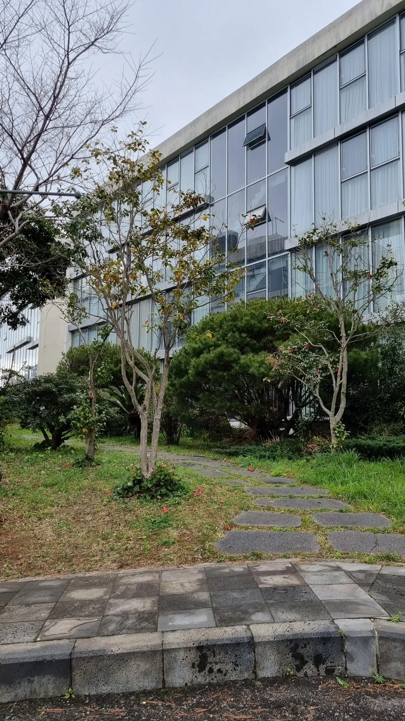 [서귀포 토평동] (서귀포) 탁트윈 통창유리 이국적인풍경 아담하고 이쁜집  트윈베드D2 20