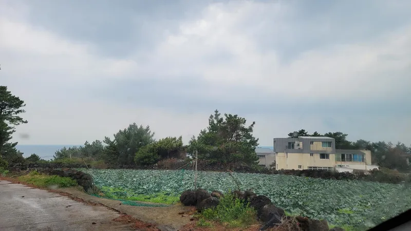 [제주 애월] 해안 절경 오션뷰 한라산 뷰 층고 높고 넓은 옥상뷰 복층 61