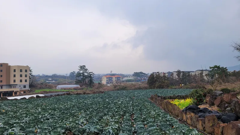 [제주 애월] 해안 절경 오션뷰 한라산 뷰 층고 높고 넓은 옥상뷰 복층 60