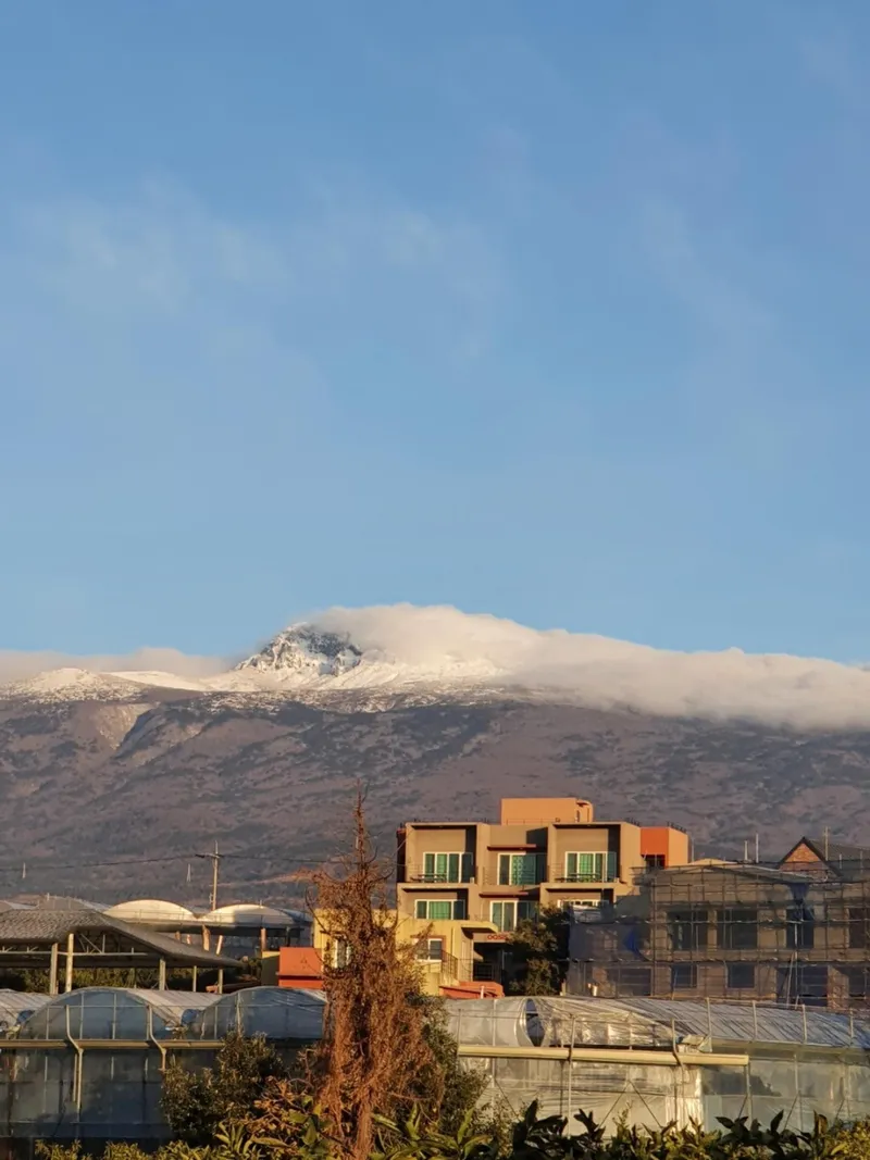 [서귀포 상효동] 202[25평,퀸침대2,주방,큰 테라스,바다전망] 11