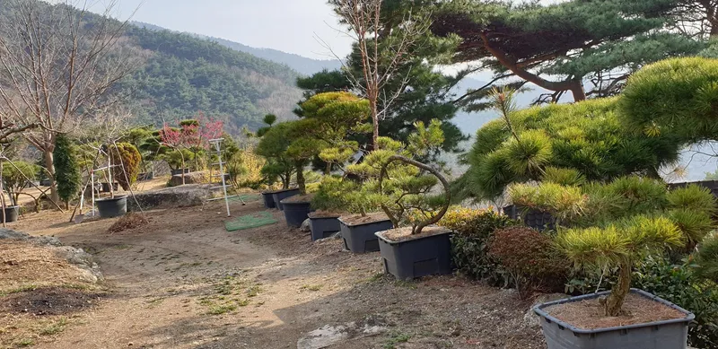 [경남 하동] 정원이 아름다운 황토방 38