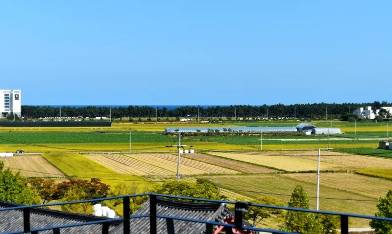 [Gangneung] #1 #cost-effective with rooftop garden near hot place in Chodang-dong 9