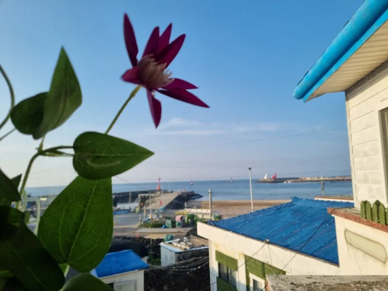 [제주 이호일동] 이호테우해변 바로 앞 오션뷰 2층주택 #공항근처 27