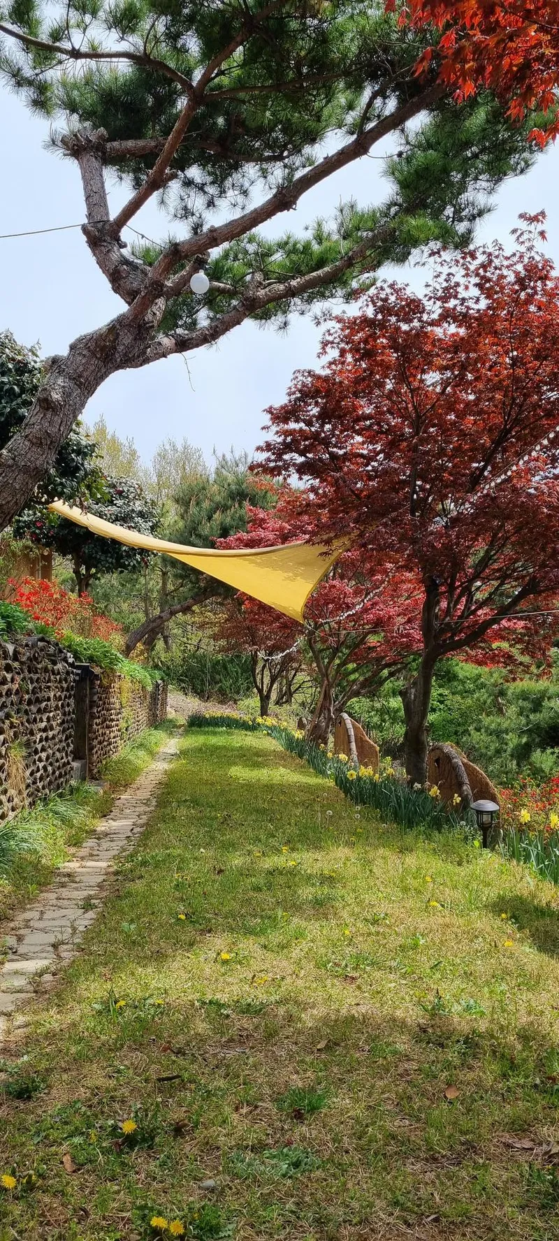 [충남 서산] 반려견과 시골라이프를 즐길 수 있는 황토독채 (원룸) #대형견가능 39