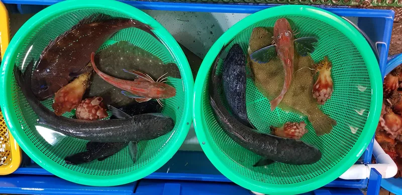 [강원 강릉] 주문진 소돌해변1 방3욕실2 25형 더블루힐 도보해변 31