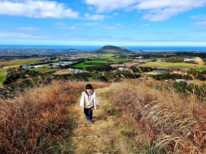 [제주 한경] 넓은 마당 깔끔한 단독 이층집 #대가족 #풀옵션 #재택근무 76