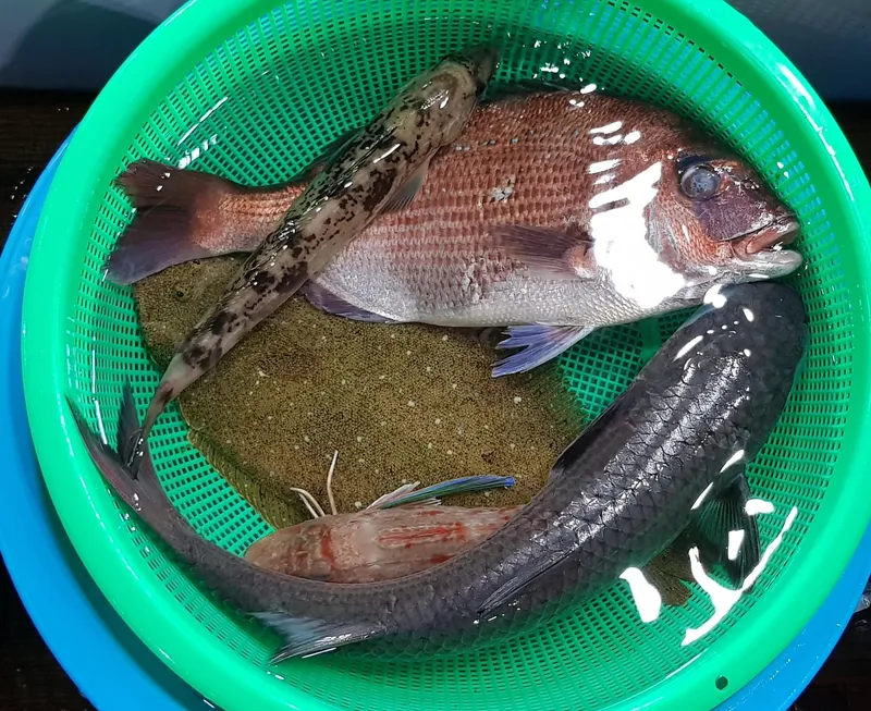[강원 강릉] 주문진 소돌해변1 방3욕실2 25형 더블루힐 도보해변 29