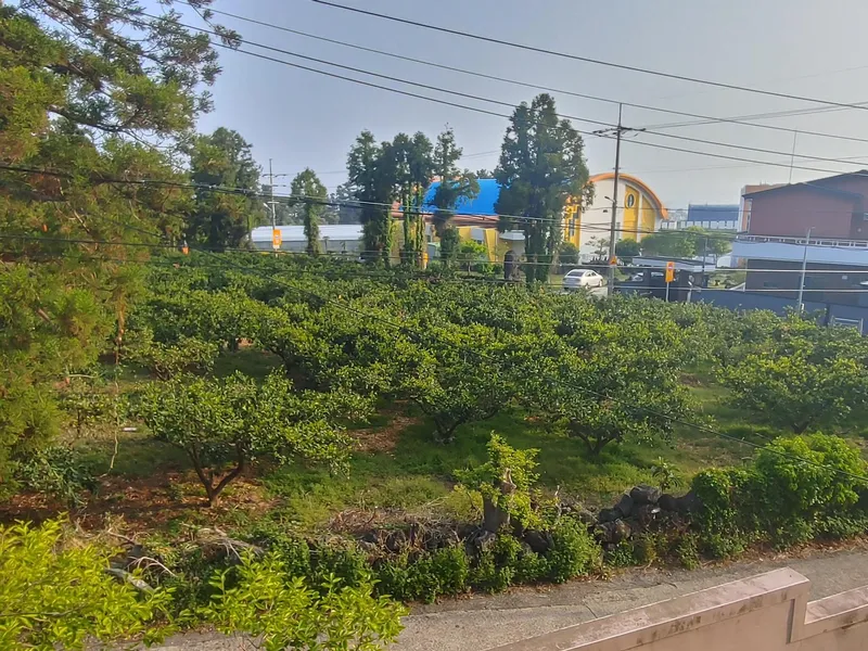 [Hogeun-dong, Seogwipo] A 2-story detached apartment in a prime location with an ocean view, in front of an elementary school 36